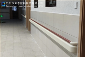 2022.7.30广州市荔湾区赤岗东约社区颐康院-无障碍扶手案例 (1)