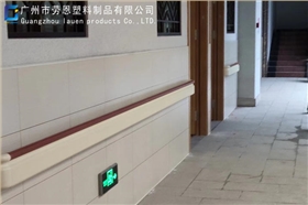 2022.7.30广州市荔湾区赤岗东约社区颐康院-无障碍扶手案例 (3)