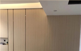 树脂板 (29)